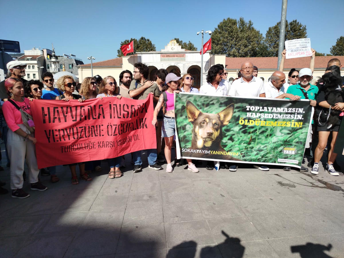 Yaşam savuncularından İstanbul Valiliği önünde eylem